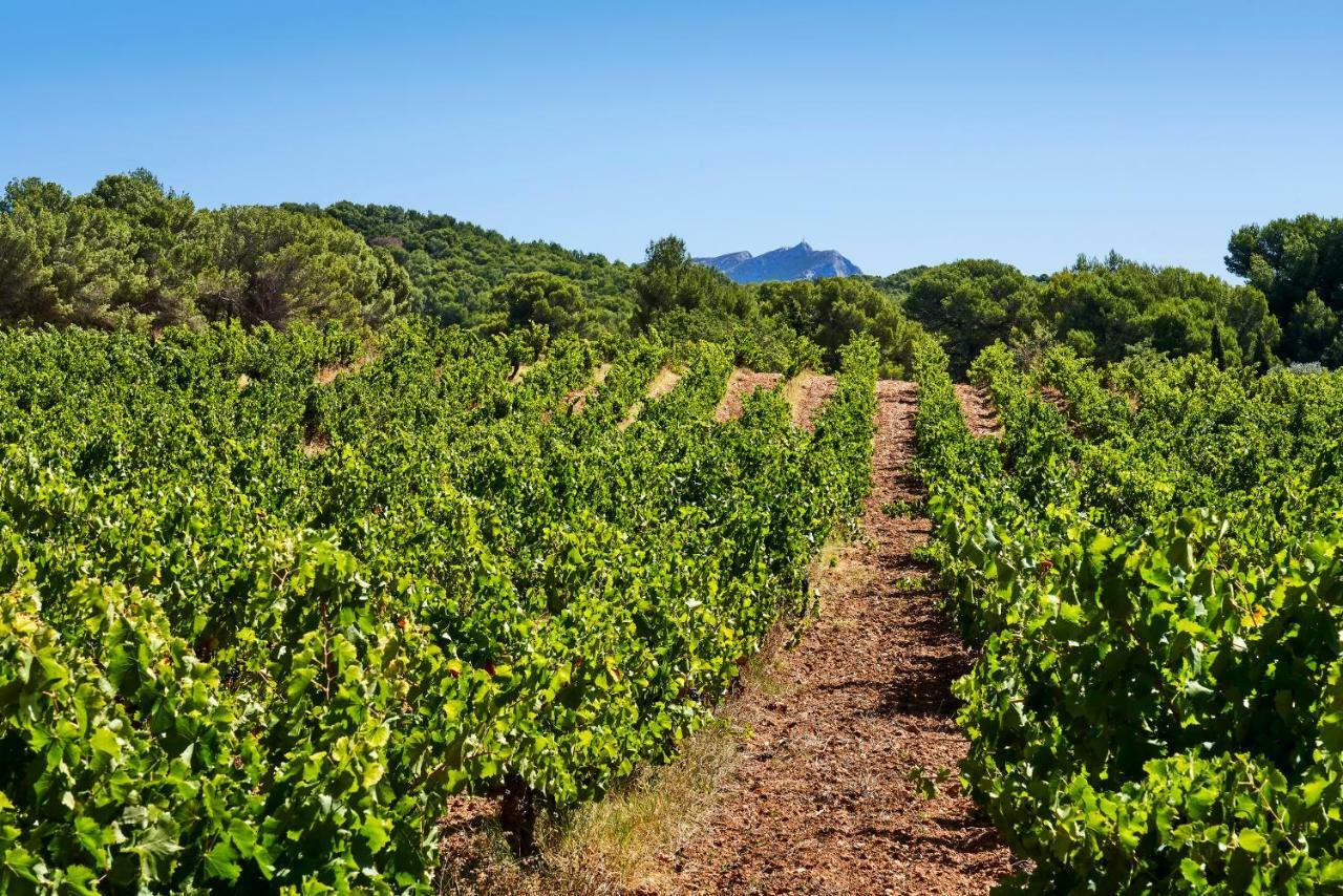 Chateau De La Gaude Aix-en-Provence Esterno foto